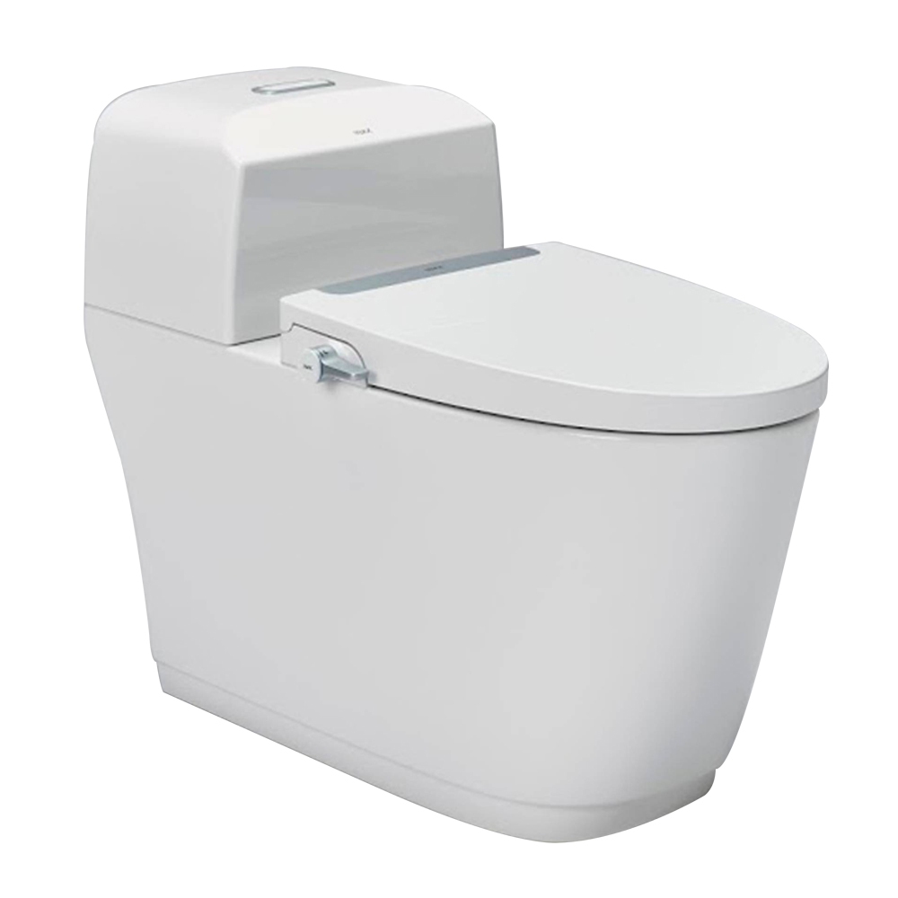 Bồn cầu 1 khối nắp rửa cơ INAX AC-1032 + CW-S32VN