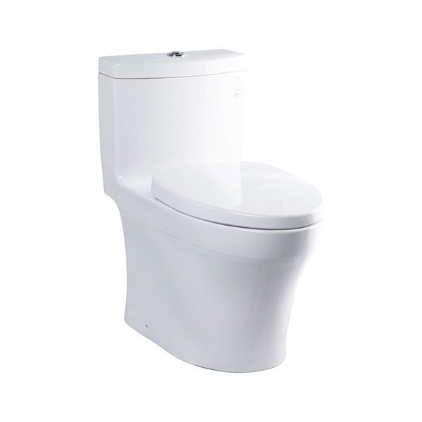 Bồn cầu TOTO 1 khối MS889DRT3